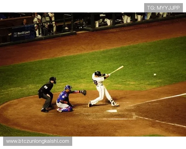 探寻尊龙z6下的人生真谛，博弈与奋斗的完美结合